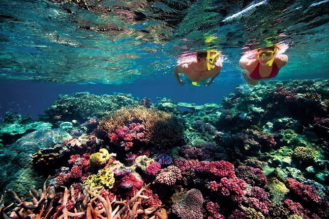 Snorkeling alla Gallinara